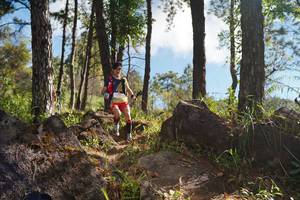 BIB: 
                            <button type="button" onclick="openModal(18916826)" class="btn btn-primary btn-sm float-right btn-popup" data-toggle="modal" data-target=".modal-high-quality">
                        <i class="fas fa-shopping-cart"></i> Add to Cart
                    </button>
                                            <button type="button" onclick="isThisMe(18916826, true)" class="btn btn-success btn-sm float-right btn-popup btn-isme hidden" data-toggle="tooltip" data-placement="bottom" title="นี่คือรูปของคุณใช่ไหม คลิกที่นี่เพื่อเอาเข้าอัลบั้ม">
                        <i class="fas fa-plus"></i> Add to album
                    </button>
                    <button type="button" onclick="isThisMe(18916826, false)" class="btn btn-warning btn-sm float-right btn-popup btn-isnotme hidden">
                        <i class="fas fa-ban"></i> Remove from album
                    </button>